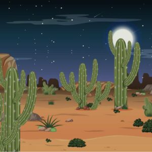 Beautiful Moon with Cactus